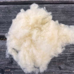 Une fibre naturellement thermorégulatrice qui emprisonne l’air et contribue au confort thermique du rembourrage.